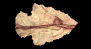 arrowhead_point_right_sb.gif