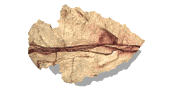 arrowhead_point_right_lw.gif