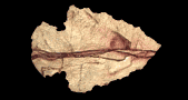 arrowhead_point_right_lb.gif