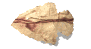 arrowhead_point_left_sw.gif