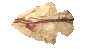 arrowhead_point_left_sc.gif