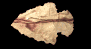 arrowhead_point_left_sb.gif