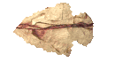 arrowhead_point_left_mc.gif