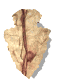 arrowhead_point_down_sw.gif