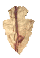 arrowhead_point_down_sc.gif