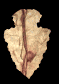 arrowhead_point_down_sb.gif