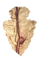 arrowhead_point_down_hr.jpg