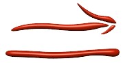 right_arrow_redicon_hr.jpg
