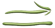 right_arrow_greenicon_hr.jpg