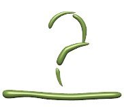 question_greenicon_hr.jpg