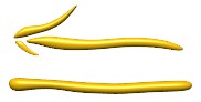 left_arrow_yellowicon_hr.jpg