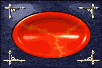 box17_mw.gif