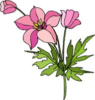 G0224898.WMF