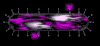 zip_sb.gif