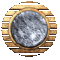 icy_bronze_mc.gif