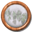 flower_mw.gif