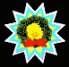 wreath_mb.gif