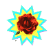rose_mw.gif