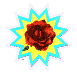 rose_mc.gif