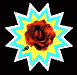 rose_mb.gif