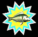 fish_mb.gif