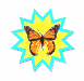 butterfly_mw.gif