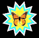 butterfly_mb.gif