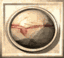 stonebutton_mw.gif