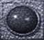 metalrock_mw.gif