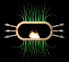 firegrass_sb.gif