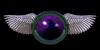 flux_mb.gif