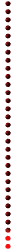 red_div_vert_shrt_mw.gif