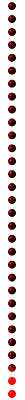 red_div_vert_mw.gif