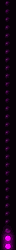 prpl_div_vert_shrt_mb.gif