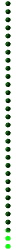 grn_div_vert_shrt_mw.gif