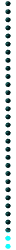 blugrn_div_vert_shrt_mw.gif