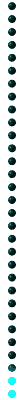 blugrn_div_vert_mw.gif