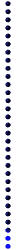 blu_div_vert_shrt_mw.gif