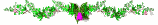 flower2_div_sw.gif