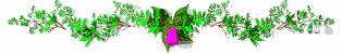 flower2_div_mw.gif