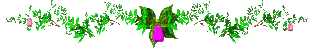 flower2_div_mc.gif