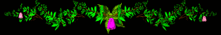 flower2_div_mb.gif
