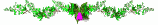 flower1_div_sw.gif