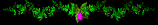 flower1_div_sb.gif