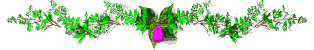flower1_div_mw.gif