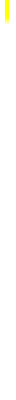 ylw2_div_vert_mw.gif