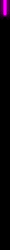 prpl2_div_vert_short_mb.gif