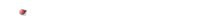 ladybug_zigzag_lw.gif