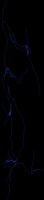 lightning_vert_lb.gif