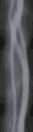 fog_side_lb.gif